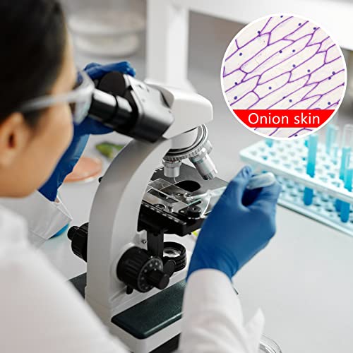 50 Pieces Microscope Slides and 100pcs Pre-Cleaned 20mm x 20mm Microscope Cover Slips Glasses for Basic Biological Science Education