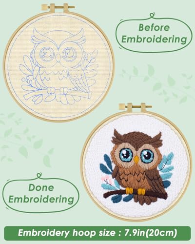 ERKOON Punch Needle Kit for Beginners Adults, DIY Easy Animal Embroidery Set for Starter Art Craft, Needling Punch Project with Patterns, Tools, Yarns, Hoop, Instruction (Owl) - color: Owl
