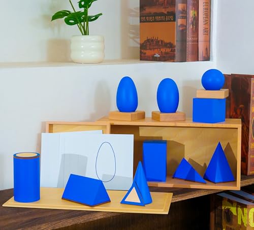 Premium Montessori Geometric Solids with Matching Cards, Solid Beechwood 3D Shapes, Plane Figures, Stands & Cards, Sensorial Geometry Materials for Spatial Awareness, Homeschool Classroom Kids 3-9