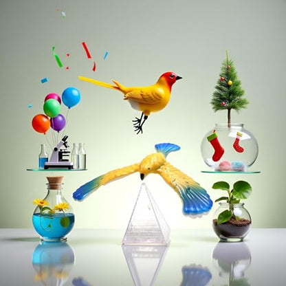 2Pcs Balance Bird with Clear Triangle Stand, Educational Physics Gravity Demonstration, Science Kit