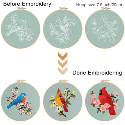 Louise Maelys 3 Set Colorful Bird Embroidery Kit for Beginners Gift - color: Animals-6