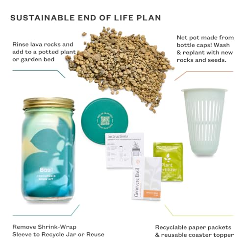 Modern Sprout Mason Garden Jar-Self-Watering Hydroponics Kit-Basil+Rosemary - color: Basil+rosemary, size: Garden Jars
