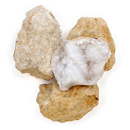 DANCING BEAR 25 Break Your Own Geodes, (Medium 1-1.5") 90% Hollow, Crack Open & Discover Amazing Surprise Crystals Inside! Educational Info and Instructions Included, Fun Party Favors & Prizes - style: Medium (1-1.5")