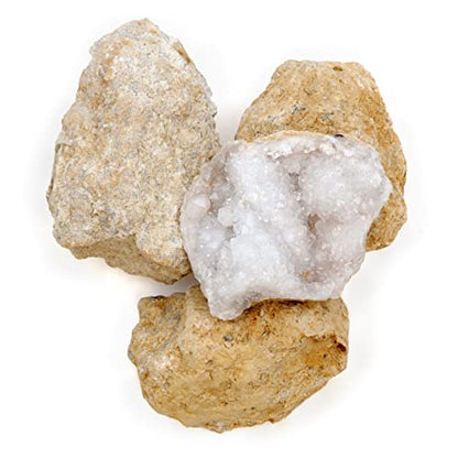 DANCING BEAR 25 Break Your Own Geodes, (Medium 1-1.5") 90% Hollow, Crack Open & Discover Amazing Surprise Crystals Inside! Educational Info and Instructions Included, Fun Party Favors & Prizes - style: Medium (1-1.5")