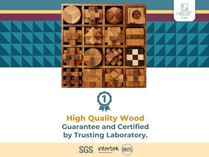 BSIRI 16 in 1 Wooden Brain Teaser Puzzles for Adults and Seniors Interlocking 3D Mini Wood Mind Games Hand Puzzle Teasers Set Toys Coffee Table Games Gift - style: 16 Puzzle Set