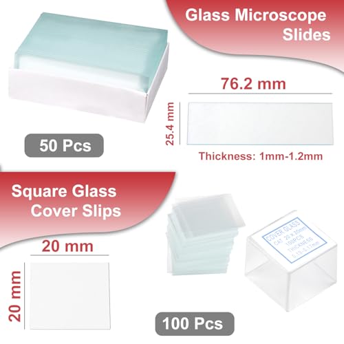 Microscope Slides Clear Glass 50 Pcs Blank Microscope Slides Ground Edges - style: Microscope Slides Set