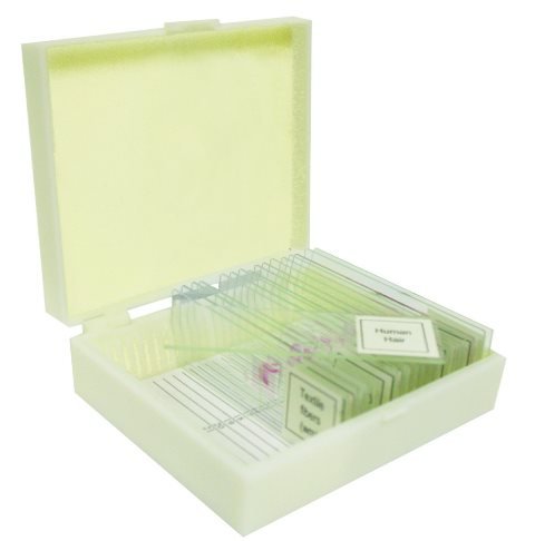 VSE123 Prepared Slide Set – Parts of Insect (Set of 12)