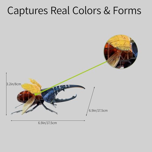 3D Acrylic Insect Puzzle DIY Bug Model Kit Animal STEM Gift - color: Hercules Beetle