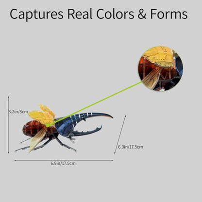 3D Acrylic Insect Puzzle DIY Bug Model Kit Animal STEM Gift - color: Hercules Beetle