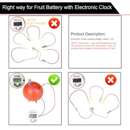 EUDAX Fruit Battery Science Experiment Kit for DIY School Home Teaching Equipment, Orange Lemon Potato Electronic Clock Science Project Kit Physics Educational for Students Teachers (4 Set) - style: 4 Set