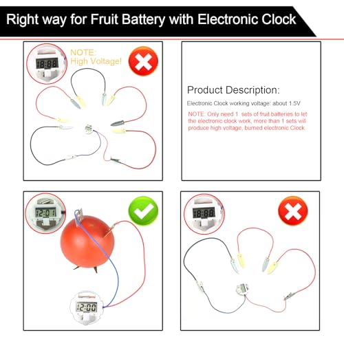 EUDAX Fruit Battery Science Experiment Kit with Electronic Clock and RGB LED for DIY Home Teaching Equipment, School Science Project, Education Subject (Pack of 2) - size: Small (Pack of 2)
