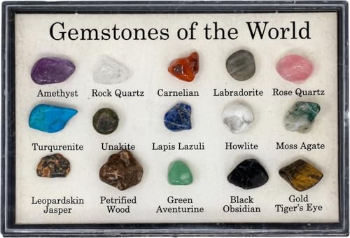 Gemstones of the World Collection Display Box - Sealed 15 Specimen Gemstone Set with Labeled Crystals and Healing Stones