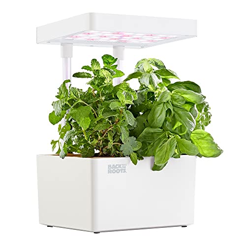 Back to the Roots v1.0 Hydroponic Grow Kit, 2022 Model