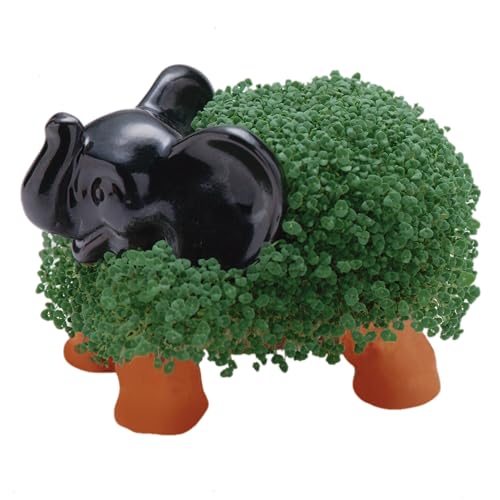 Chia Pet Elephant with Seed Pack, Decorative Pottery Planter, Easy to Do and Fun to Grow, Novelty Gift, Perfect for Any Occasion - style: Elephant