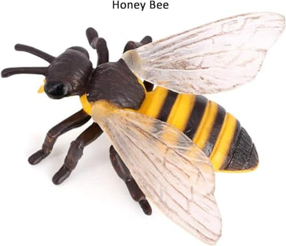 Hvogvok Bee Growth Cycle, Animal Growth Cycle Biological Model, Growth Stage Lifelike Bee Life Cycle Model Set for Kids Education Insect Themed Party Favors - style: Bee