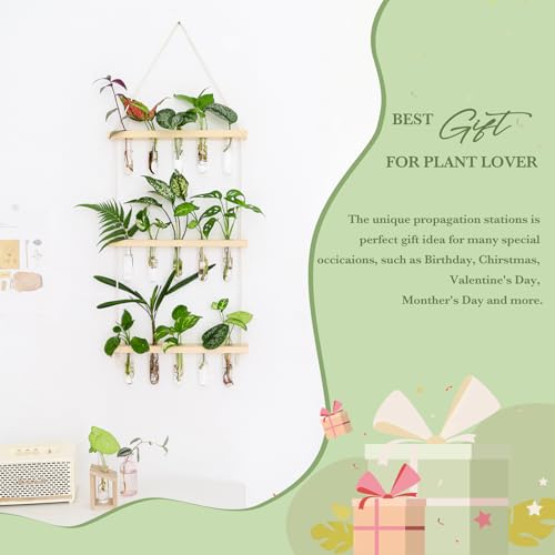 Mkono Plant Propagation Station, 3 Tier Beige Wall Hanging Vase Test Tubes - color: Beige, size: Medium
