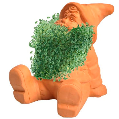 Chia Pet Gnome with Seed Pack, Decorative Pottery Planter, Easy to Do and Fun to Grow, Novelty Gift, Perfect for Any Occasion - style: Gnome