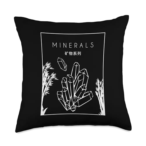 Best Rocks And Minerals Kit Guide Collection Gifts Chinese Hanzi Geologist Mineral Collector Throw Pillow, 18x18, Multicolor - size: 18x18
