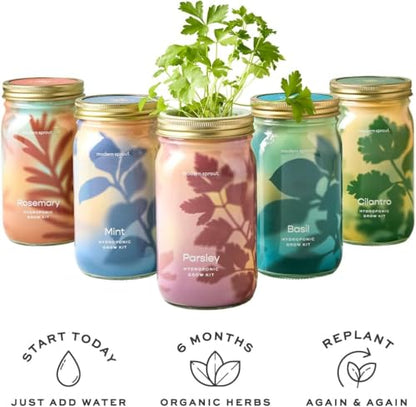 Modern Sprout Mason Garden Jar-Self-Watering Kit - Lavender+Rosemary - color: Lavender+rosemary, size: Garden Jars