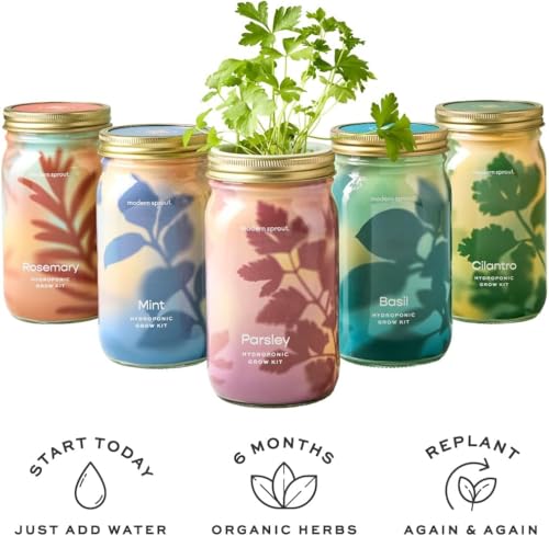 Modern Sprout Mason Garden Jar-Self-Watering Kit - Lavender+Rosemary - color: Lavender+rosemary, size: Garden Jars