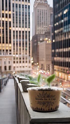Seeds in A Cup - Plant Growing Kit (Broccoli) Made in USA - style: BROCCOLI