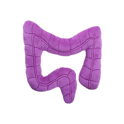 GIANT MICROBES Colon Plush, Gastroenterology Gifts, Organ Plushies