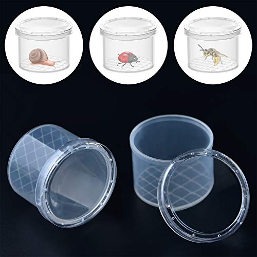 Coopay 80 Pieces Bug Viewer Critter Insect Cage Magnifying Insect Box Bug Magnifier Container Catcher Cage, Science Nature Exploration Tools - style: 80 Pack