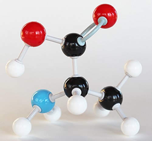 Organic Chemistry Model Student Kit - (125 Pieces) - MM-003