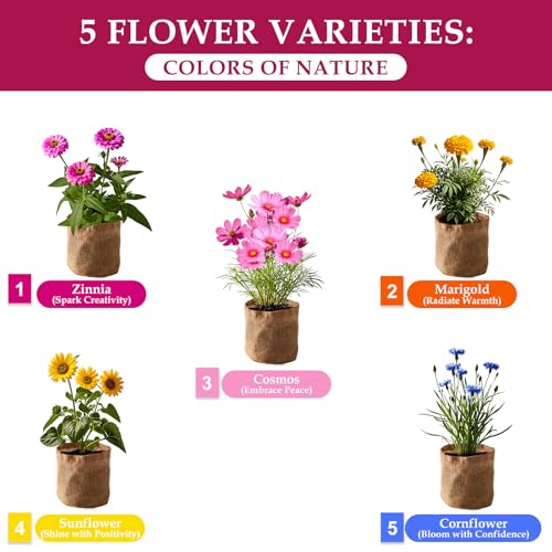 5 Indoor Flowers Growing Kit for Beginners, Complete Planting Starter Set with Zinnia, Cosmos, Sunflower, Marigold, Cornflower Seeds, Unique Gardening Gifts for Women & Men