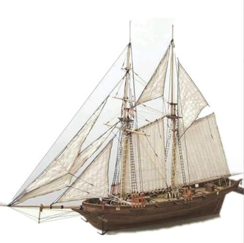 Avtytsda 1/100 Scale DIY Hobby Wooden Ship Science Equipmen Assembly Model Boat Kits Sailing Boat Kit Ship Craft Laser-Cut Model Kits to Build - size: 1/100