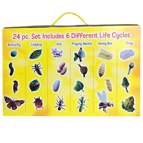 Insect Lore's Life Cycle Figurines 24 Pc Set | Butterfly, Ladybug, Frog, Honey Bee, Ant and Praying Mantis | 4 Stages Per Insect, 24 Figurines Total