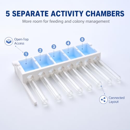 Stackable Ant Farm Formicarium with 10 Test Tubes, White Plastic Base, 5 Compartments, 15mm/18mm Tube Options (15 mm Test Tubes) - size: 15 mm test tubes