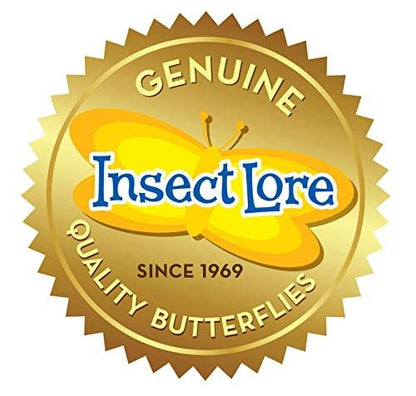Insect Lore Butterfly Garden with 5 Live Baby Caterpillars - STEM Activity Journal, Habitat, Chrys-A-Lid Holder and Feeder Included | Raise and Release Painted Lady Butterflies - style: Live Butterfly Garden
