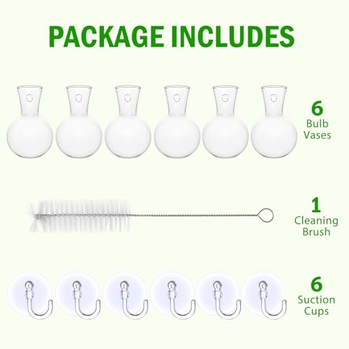 Bunmery 6 pcs Window Propagation Stations, Easy to Install Plant Propagation Bulbs with Suckion Cups, No Nails Wall Hanging Planter Propagation Station, Glass Plant Terrarium Vase - color: Clear Bulb, size: 6 PCS