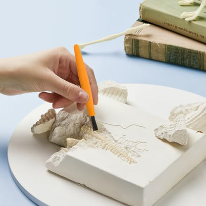 3 Sets Dino Fossils Dig Kit Archaeological Excavation Tools for Kids, Plastic Digging Hammer Chisel Brush Scraper Magnifier Science Kits for Dinosaur Eggs and Gem - size: Small
