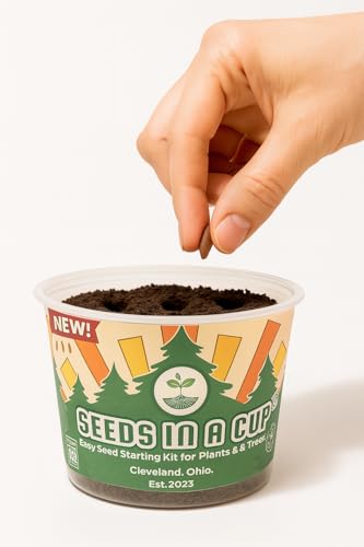 Sycamore Tree Seed Growing Kit | Complete DIY Planter | Unique Mottled Bark Shade Tree | Indoor/Outdoor Plant Starter | Gift Idea - style: Sycamore