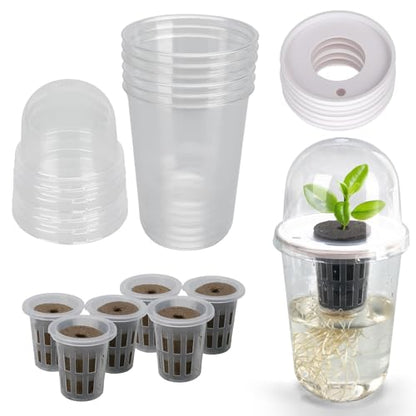 Clear Hydroponic Nursery Pots with Humidity Domes & Rrow Sponge 6-Pack