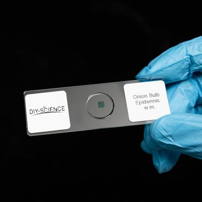 Typical Animals and Plants Cells Microscope Slides, Amphiuma Liver, Human Oral Epithelium, Fava Bean Lower Epidermis, Onion Epidermis, 4 Prepared Slides for Biology Science Class