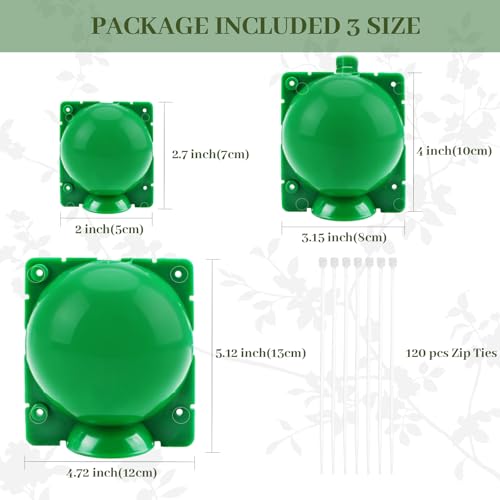 Plant Root Growing Box, 30 Pack, 3 Sizes, Green