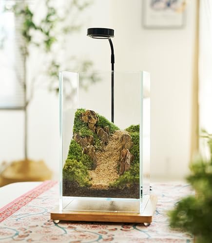 27 PCS Glass Plant Terrarium Kit with LED Grow Light– DIY Moss Terrarium Kit for Adults, Mini Garden Set for Succulent, Real Live Moss, and Air Plants – Home Office Decoration & Unique Gift fo Friend - size: Tall Cube Set