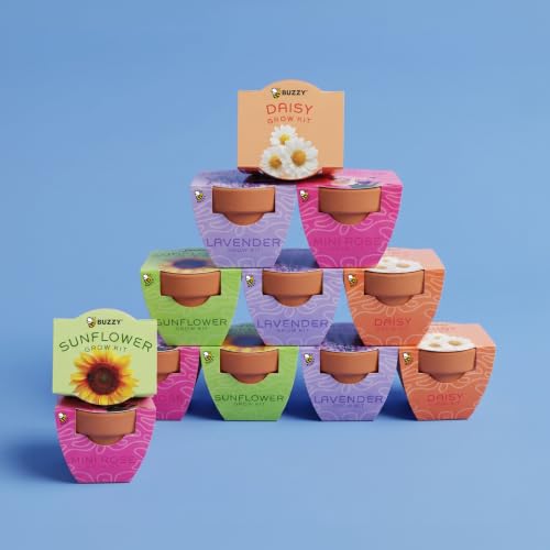 BUZZY Seeds Bright Series Grow Kit 12-Pack, Terracotta Pots, Assorted
