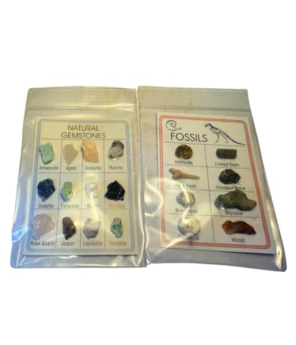 Fossil & Mineral ID Charts - 2 charts with Genuine specimens - 12 Minerals and 8 Fossils - Great for Science Fairs - Ideal Fossil and Mineral Sampler