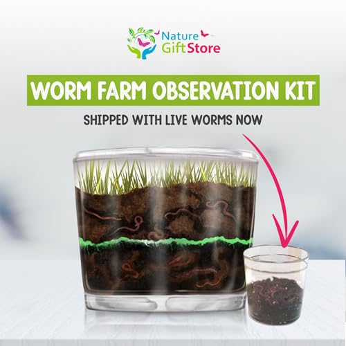 Worm Farm for Kids Kit with 20 Live Composting Worms, All-in-One Bundle - style: Farm+Live Worms