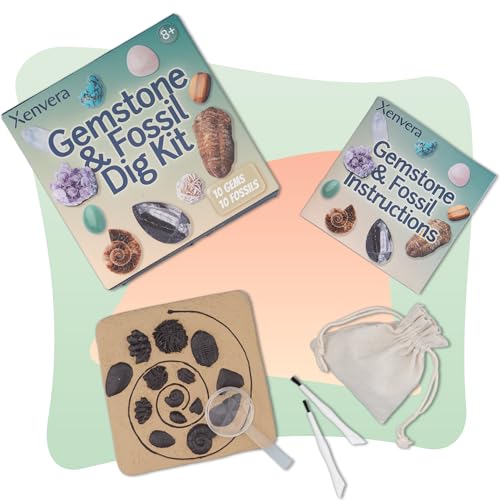 Gemstone and Fossil Dig Kit – Excavate 10 Gems and 10 Fossils, STEM Geology Set, Educational Toy, Science Kit for Kids Ages 8+