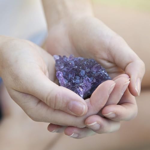 Crystals and Healing Stones Premium Kit Wooden Box - Chakra Stones Healing Crystals Set, Rose Quartz, Amethyst Cluster, Quartz Points, Chakra Pendulum (Deluxe Chakra Collection) - color: Deluxe Chakra Collection