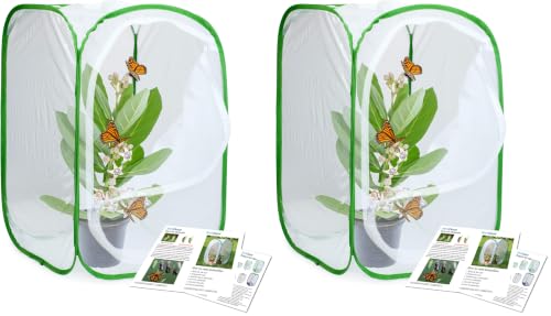 RESTCLOUD Insect and Butterfly Habitat Cage Terrarium Pop-up 23.6 Inches Tall (Pack of 2) - color: White With Green, size: 15.7 x 15.7 x 23.6 inches (Pack of 2)