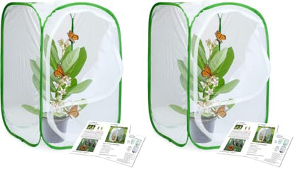RESTCLOUD Insect and Butterfly Habitat Cage Terrarium Pop-up 23.6 Inches Tall (Pack of 2) - color: White With Green, size: 15.7 x 15.7 x 23.6 inches (Pack of 2)