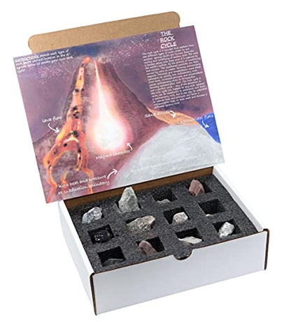 EISCO Rock Cycle Kit - 12 Pieces - Metamorphic, Igneous & Sedimentary Rocks - 1" Specimens - Geology Activity for Ages 8+ (Pack of 2) - size: 1 inch (Pack of 2)