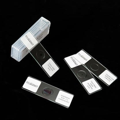 Typical Animals and Plants Cells Microscope Slides, Amphiuma Liver, Human Oral Epithelium, Fava Bean Lower Epidermis, Onion Epidermis, 4 Prepared Slides for Biology Science Class