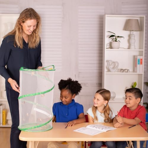 Insect Lore School Kit Refill with 33 Live Caterpillars - STEM Activity Journal & 33 Live Baby Painted Lady Butterfly Caterpillars - Cups & Tools Included - style: Refill For School kit 33